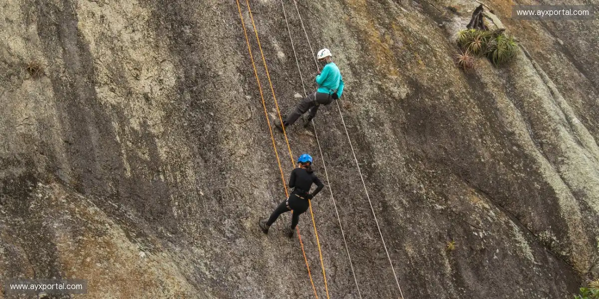 🕶️ 解锁全息VR直播，走进球员视角的震撼世界！🌌